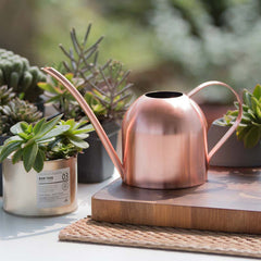 Stainless Steel Watering Can Watering Can Lon | The Garden Love Edition