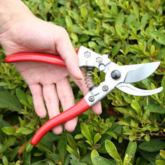 V8 Gardening Scissors Pruning And Fruit Picking