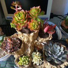 Outdoor Garden Resin Flower Pot Crafts