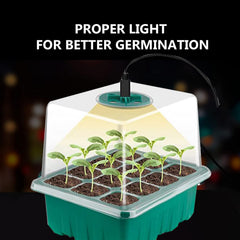 Household New Nursery Pot With Lamp