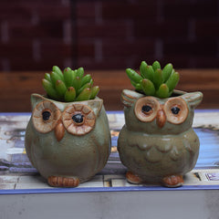 Owl Shape Garden Flower Pot Desk Plant Pot Creative Design