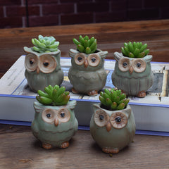Owl Shape Garden Flower Pot Desk Plant Pot Creative Design