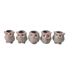 Owl Shape Garden Flower Pot Desk Plant Pot Creative Design