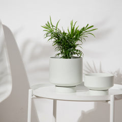 Indoor Succulent Pots Ceramic Planters Garden Flower