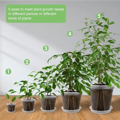 Cross-border Multi-size Transparent Nursery Pots