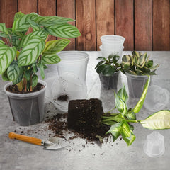 Cross-border Multi-size Transparent Nursery Pots
