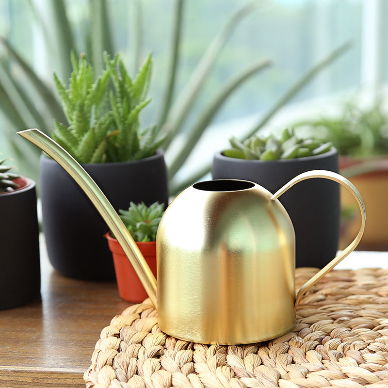 Stainless Steel Watering Can Watering Can Lon | The Garden Love Edition