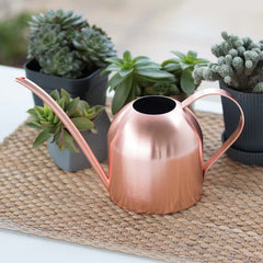 Stainless Steel Watering Can Watering Can Lon | The Garden Love Edition